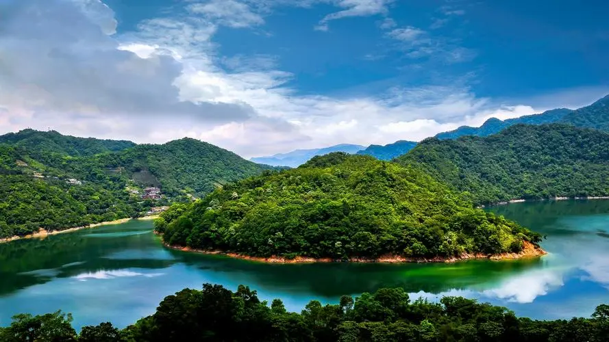 高效独特